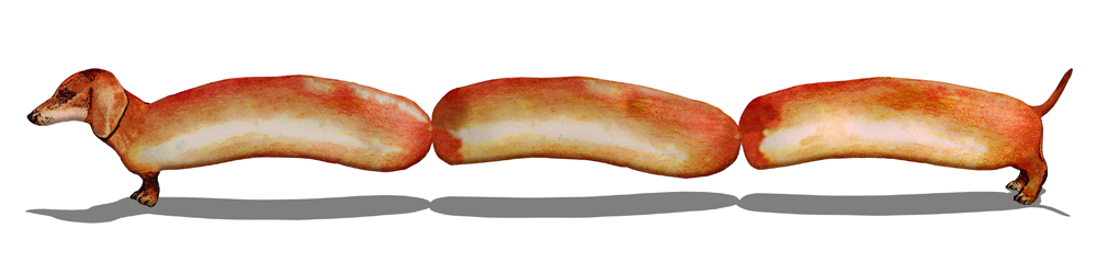 llustration of a sausage dog, its body is divided up unto sausage links.